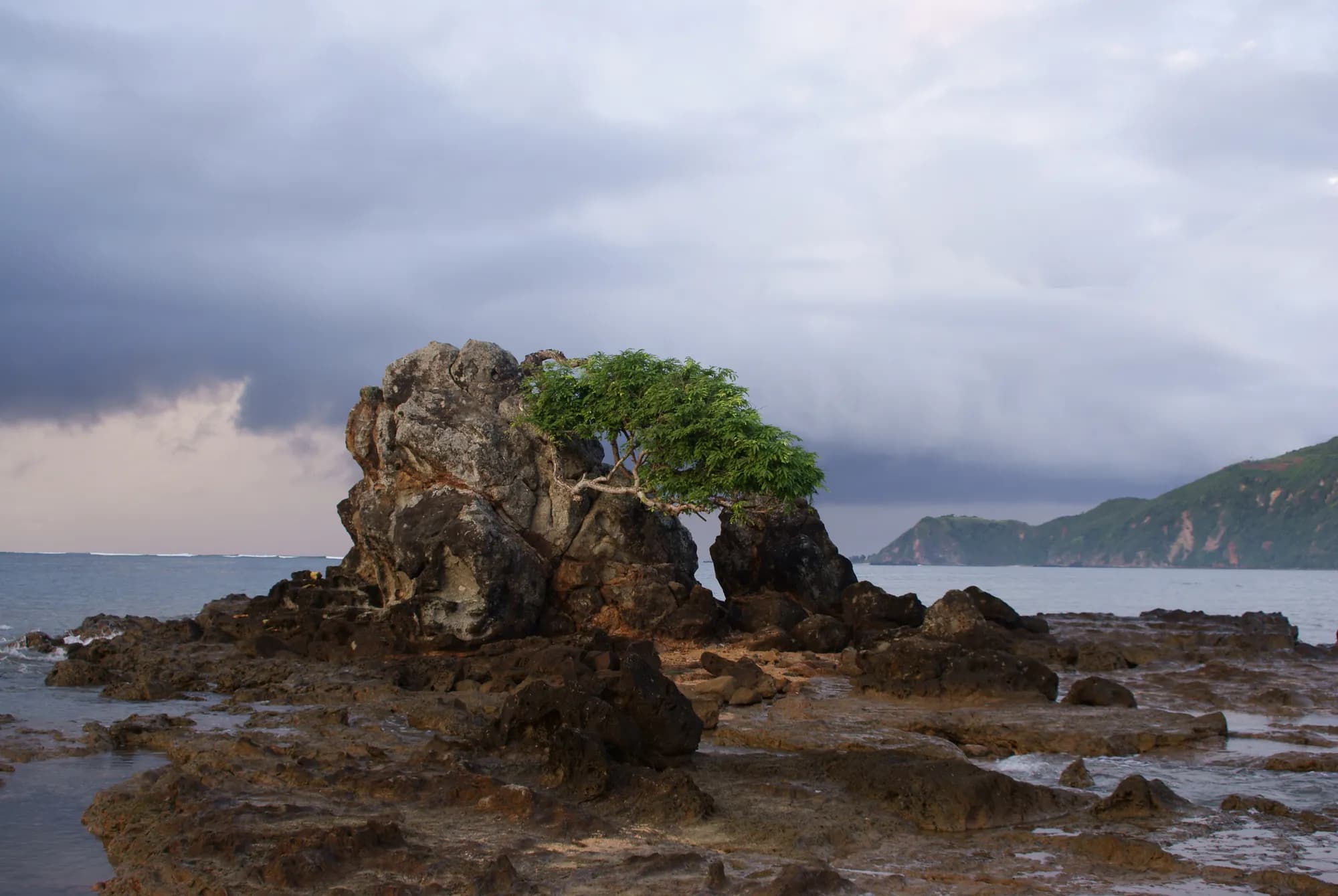 Rocky headland at Kuta, south Lombok