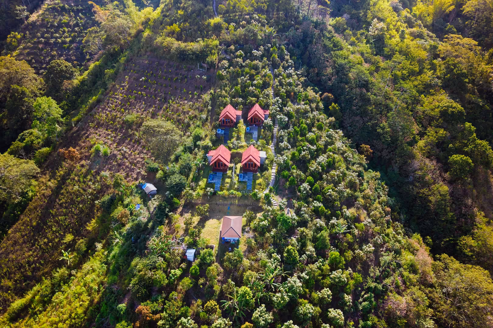 Maisons au milieu de la végétation, vues du ciel, à Bali